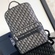 디올 DIOR 오블리크 사파리 백팩 2칼라 1ESBA175YKY H27E