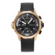 IWC 아이더블유씨 남성용 44mm 명품시계 찰스 다윈 에디션 AQUATIMER IW379503