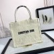 디올 북토트 백 스몰 화이트 M1296ZECY M933